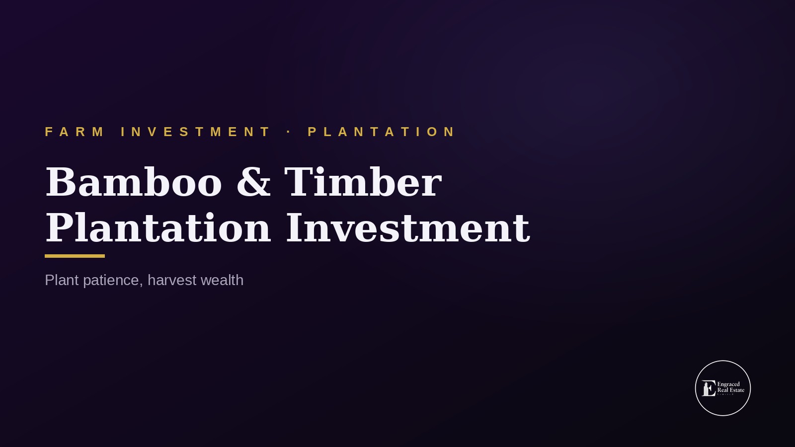 Bamboo and Timber Plantation Investment for Long-Term Gains