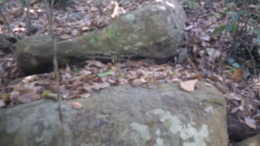 Surface granite deposits on industrial land for sale in Ogun State