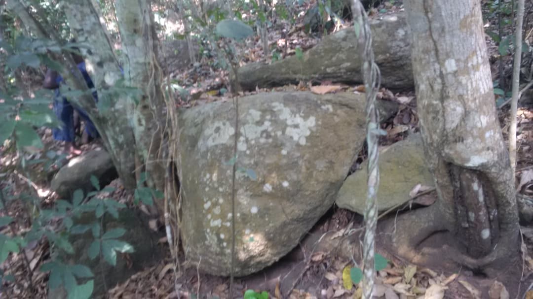 Granite outcrops among vegetation on the 20.297 hectare quarry site